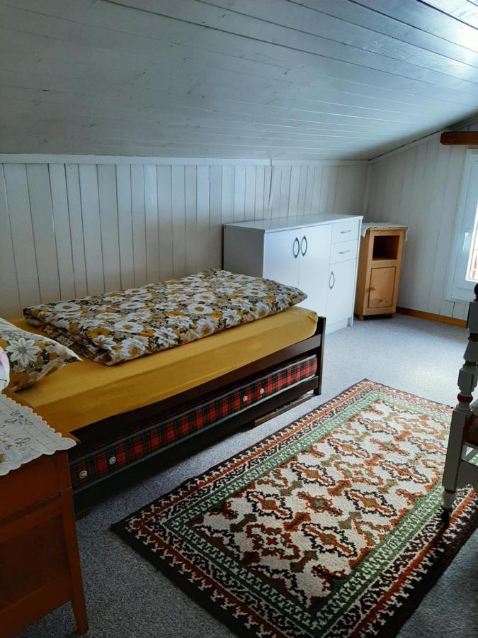 شقة Casa Schuoler ديسنتس المظهر الخارجي الصورة