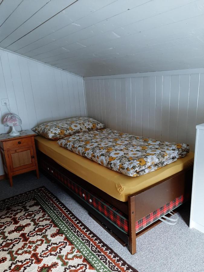 شقة Casa Schuoler ديسنتس المظهر الخارجي الصورة